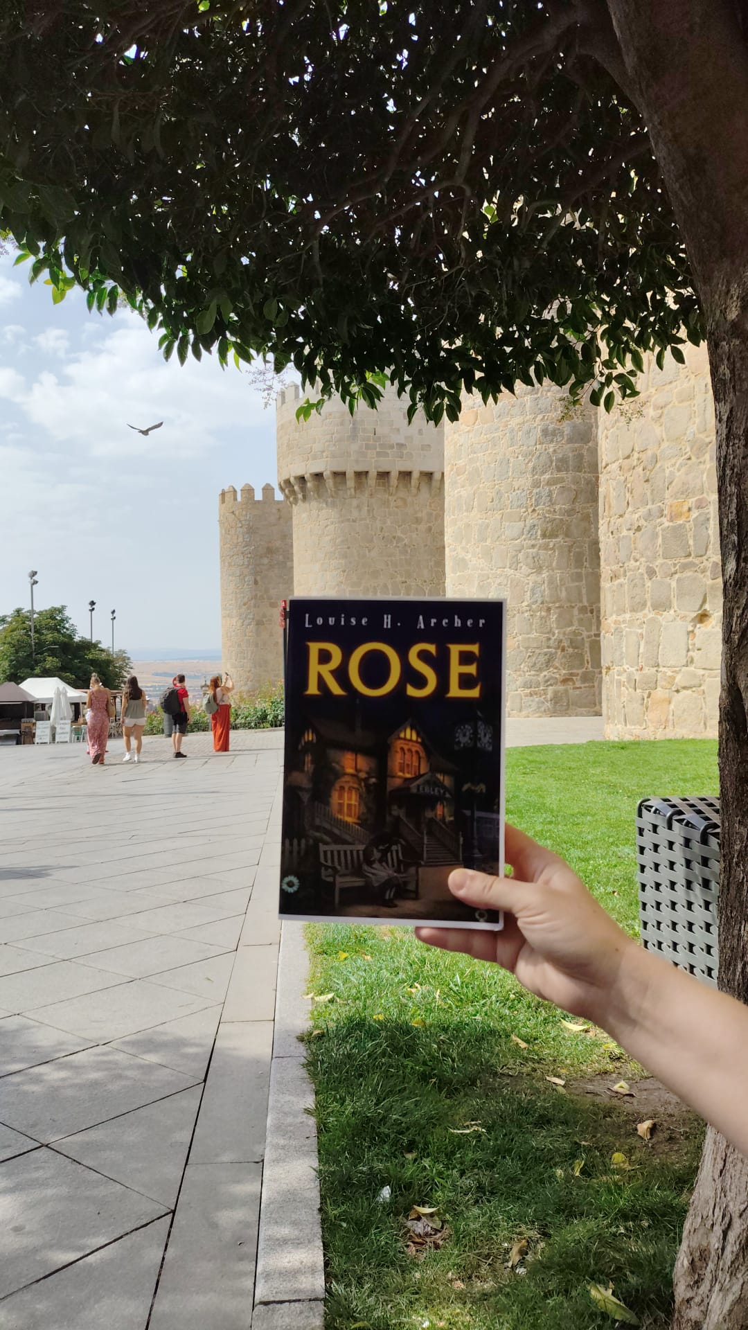 ROSE in Avila, Spain